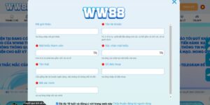 Chỉ dẫn bet thủ cách trải nghiệm sân chơi Ww888